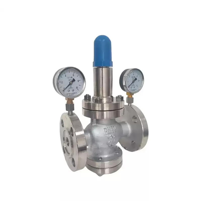 Stainless Steel Pressure Reducing Valve1