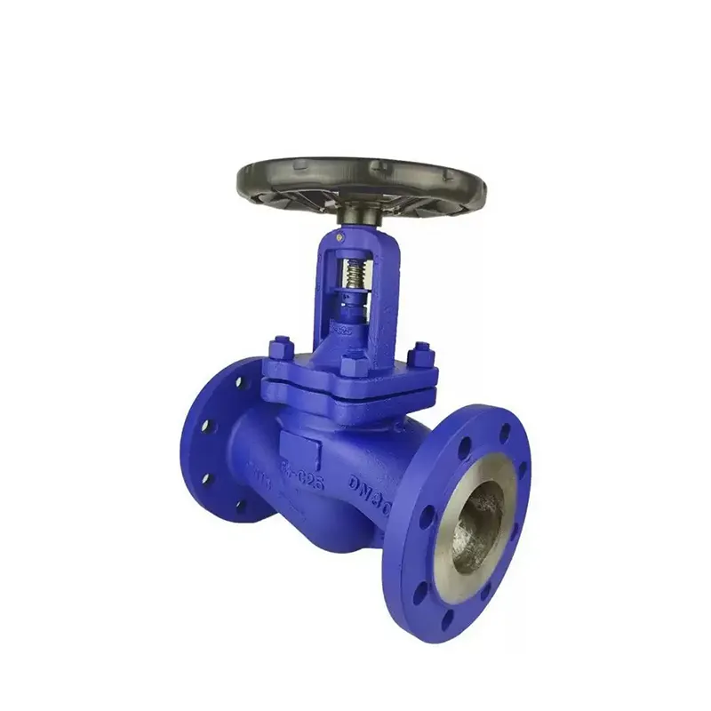 Manual Globe Valve 5