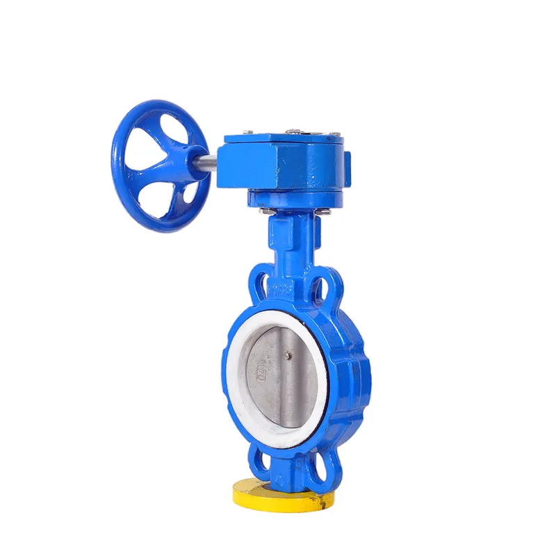 Manual Cast Iron Wafer Butterfly Valve5